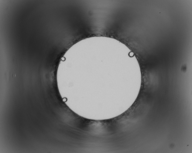 X0000103940611200809261727