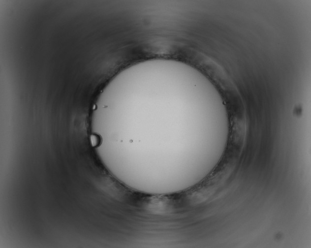 X0000103940612200809261727