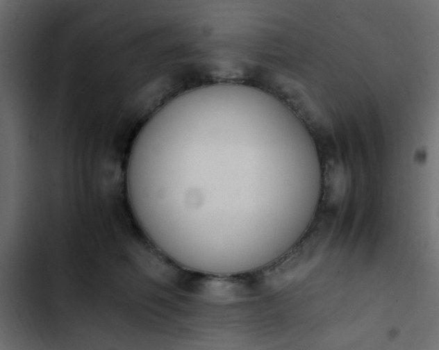 X0000103940614200809261727
