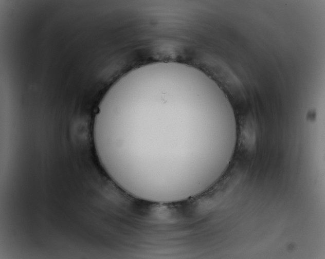X0000103940616200809261727