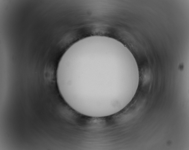 X0000103940619200809261727
