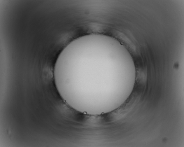 X0000103940621200809261727