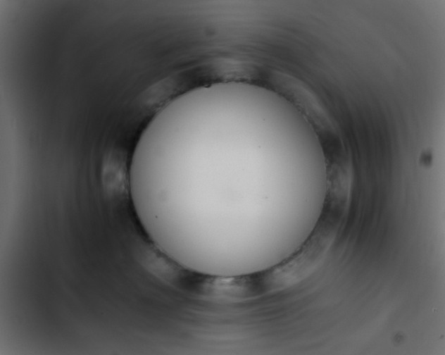 X0000103940622200809261727