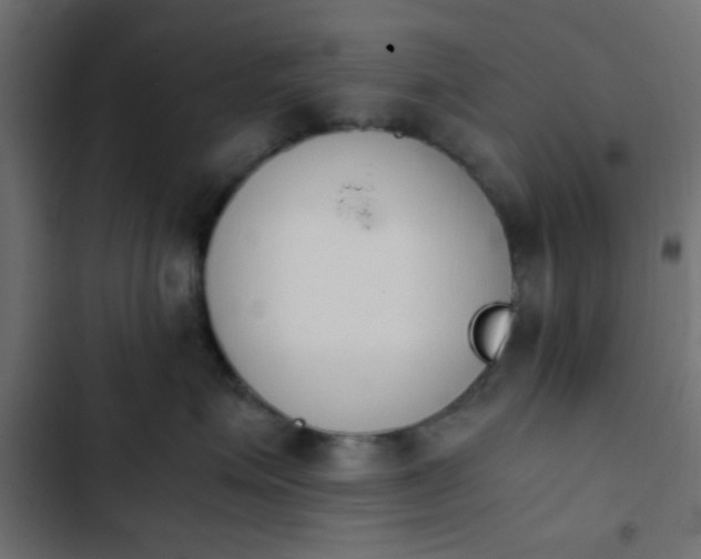 X0000103940623200809261727
