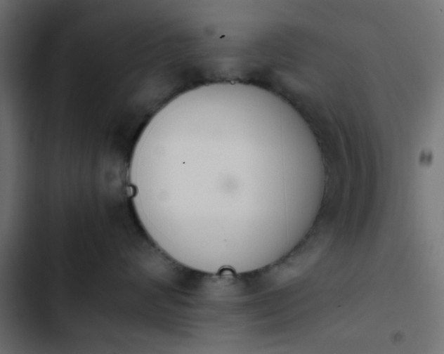 X0000103940624200809261727