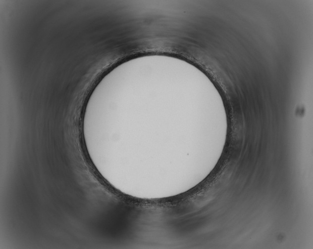 X0000103940625200809261726