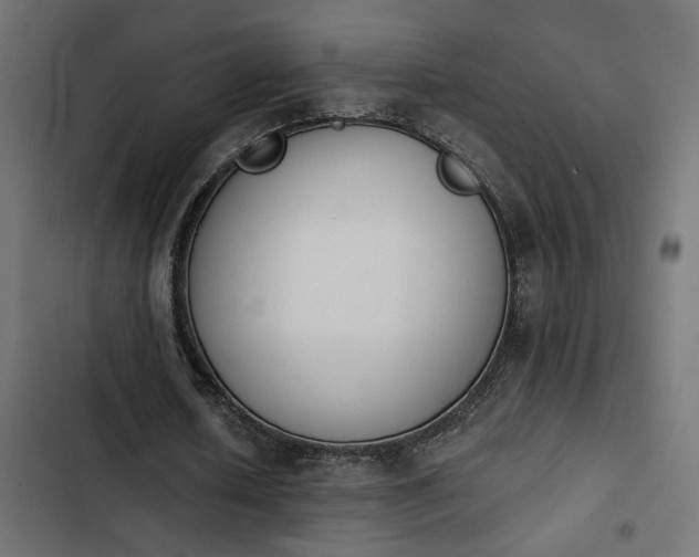 X0000103940626200809261726