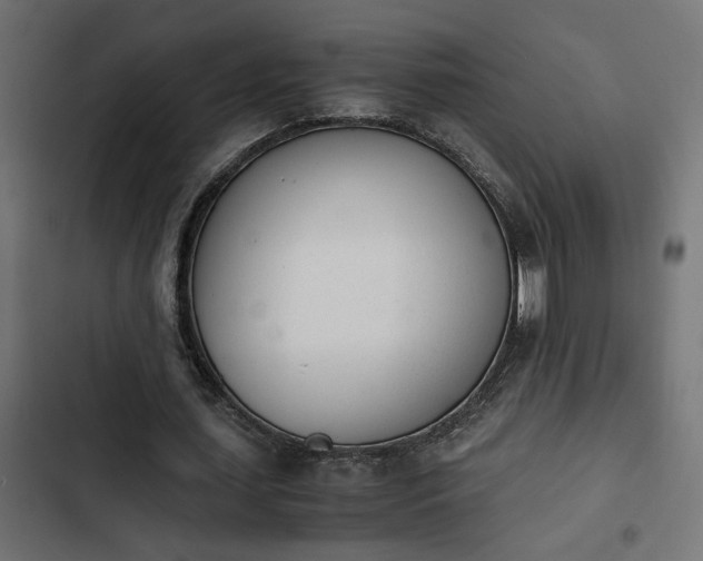 X0000103940627200809261726