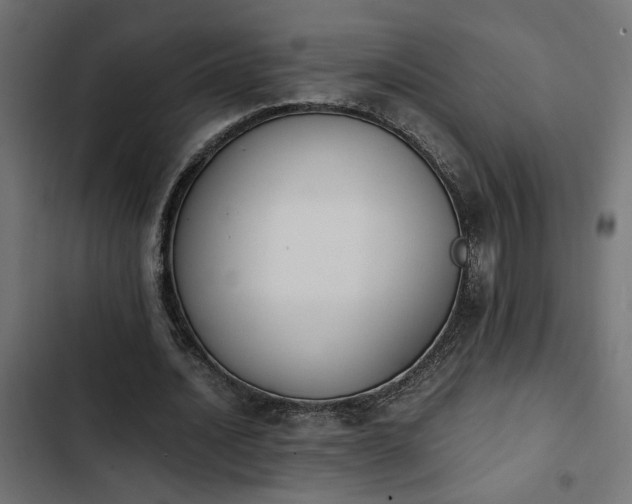X0000103940628200809261726
