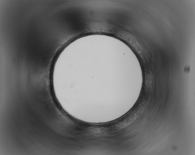X0000103940629200809261726