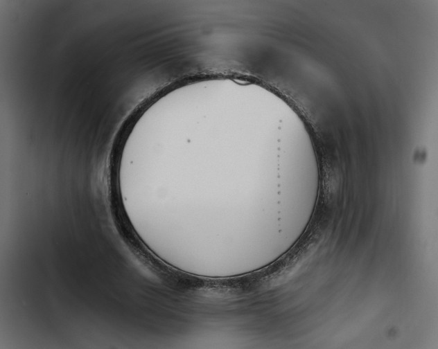 X0000103940630200809261726