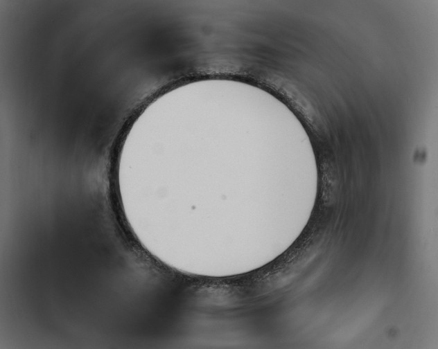 X0000103940631200809261726