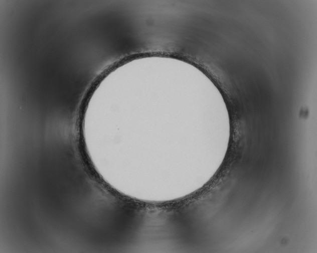 X0000103940632200809261726