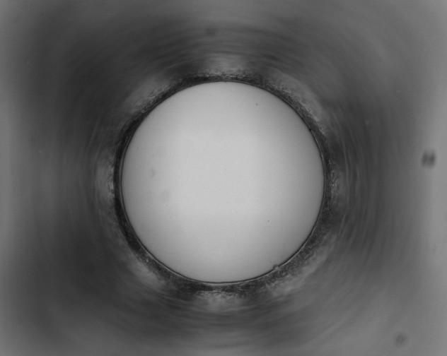 X0000103940633200809261726