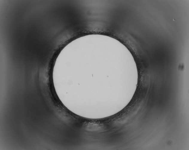 X0000103940635200809261726