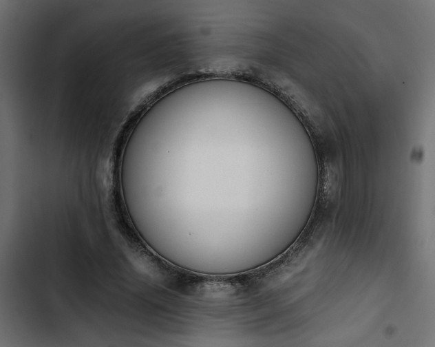 X0000103940636200809261726