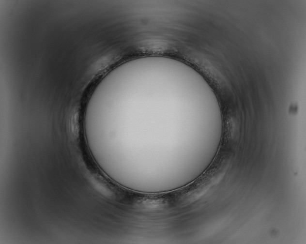 X0000103940638200809261726