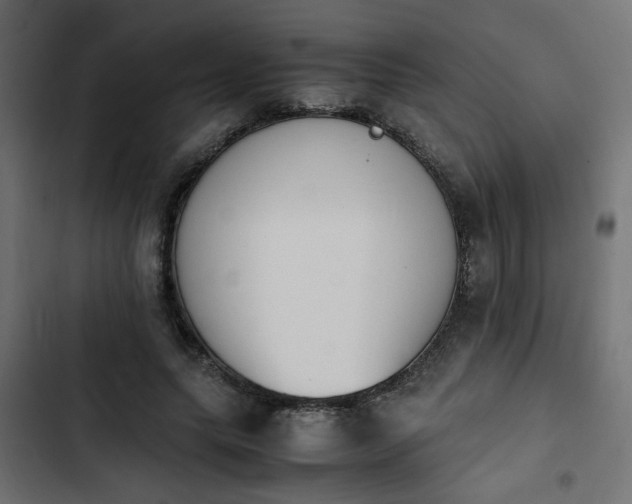 X0000103940639200809261726