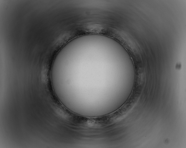 X0000103940641200809261726