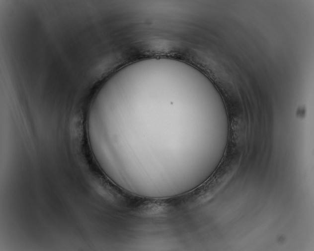 X0000103940642200809261726