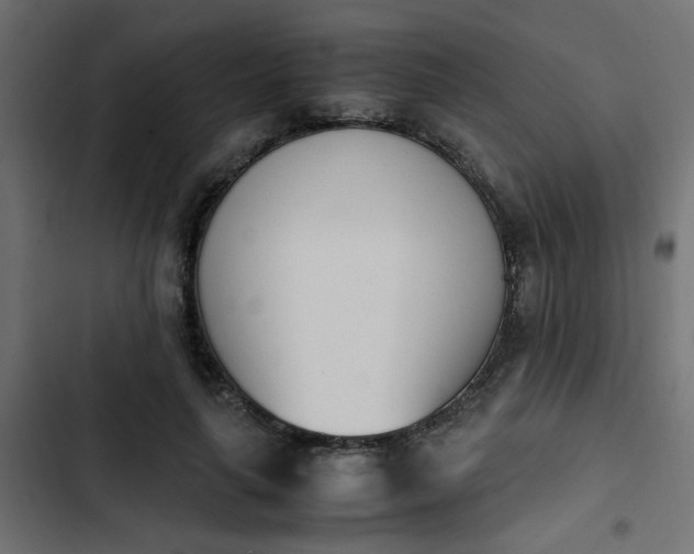 X0000103940643200809261726