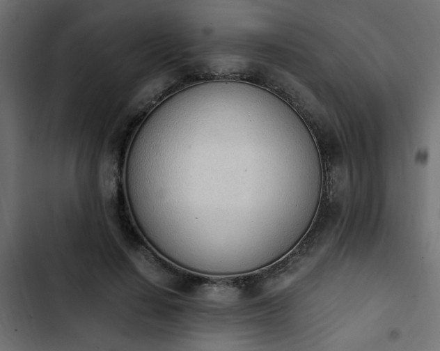 X0000103940644200809261726