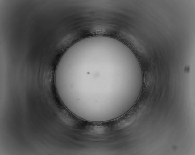 X0000103940645200809261726