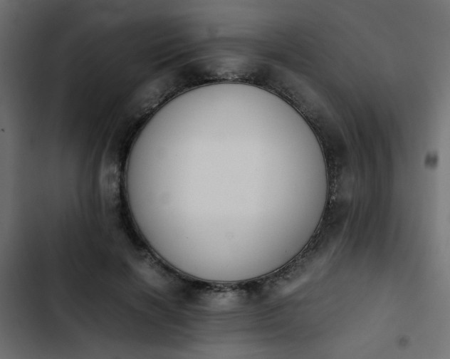 X0000103940646200809261726