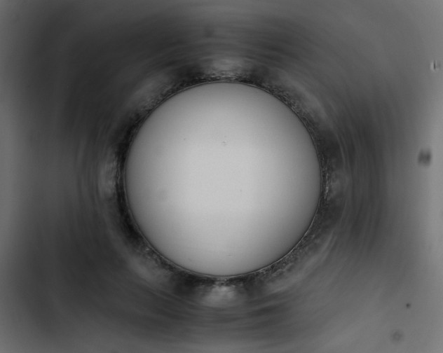 X0000103940647200809261726