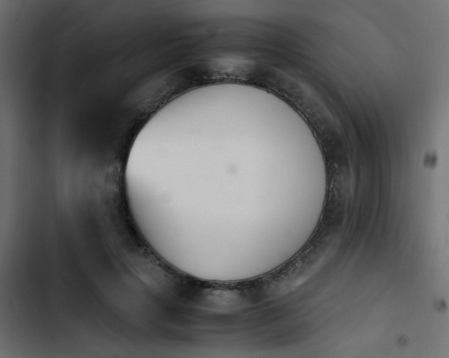 X0000103940649200809261726