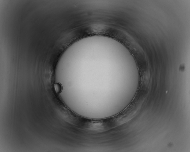X0000103940651200809261726