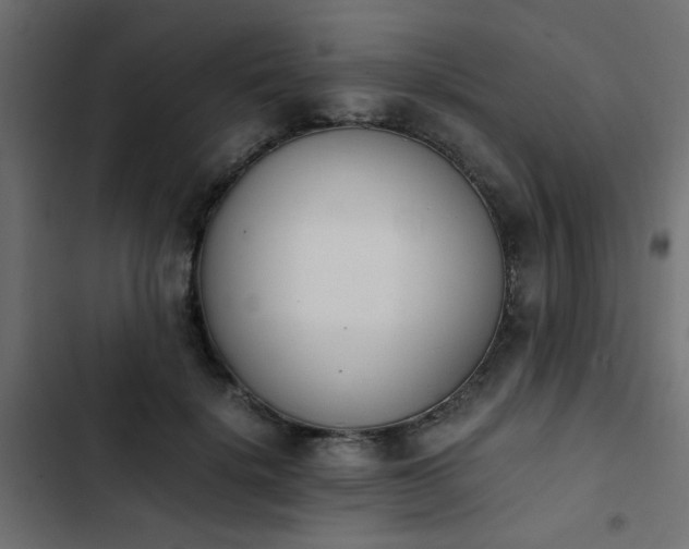 X0000103940652200809261726