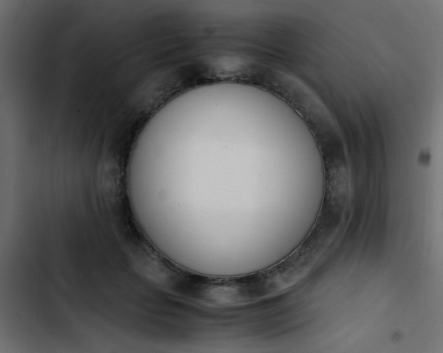 X0000103940653200809261726