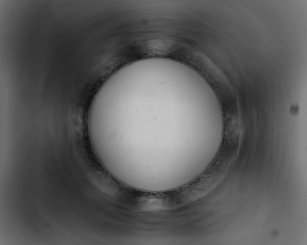 X0000103940655200809261726