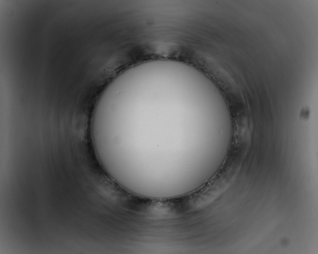 X0000103940656200809261726