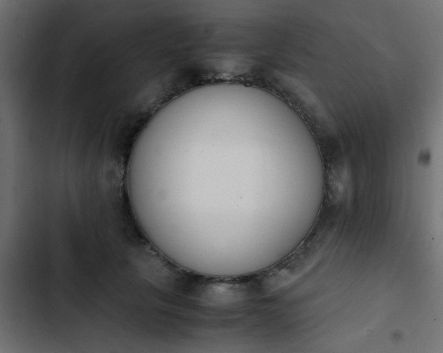 X0000103940657200809261726