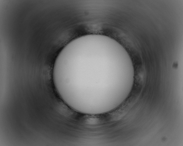 X0000103940658200809261726