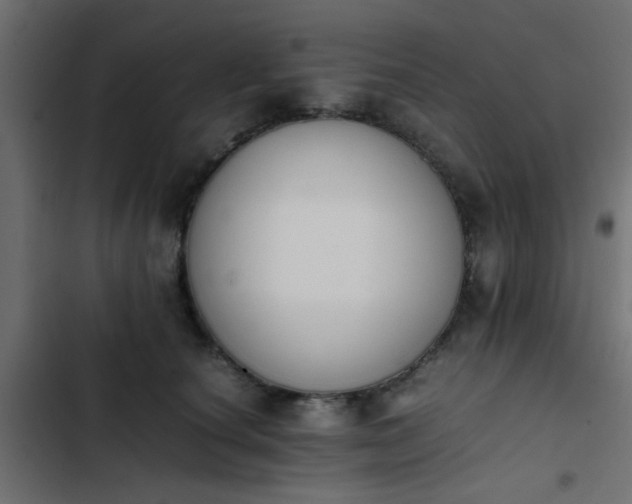 X0000103940660200809261726
