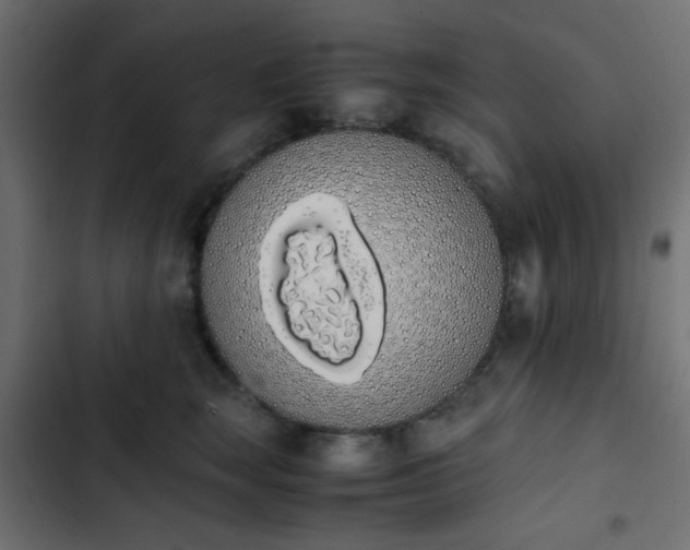 X0000103940663200809261727