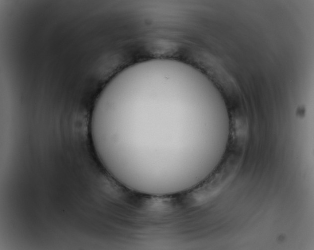 X0000103940664200809261727