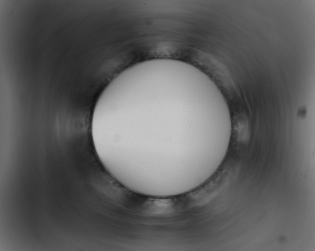 X0000103940665200809261727