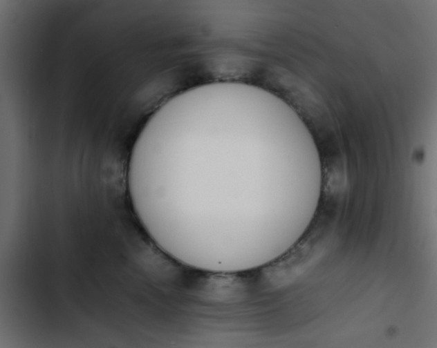 X0000103940666200809261727