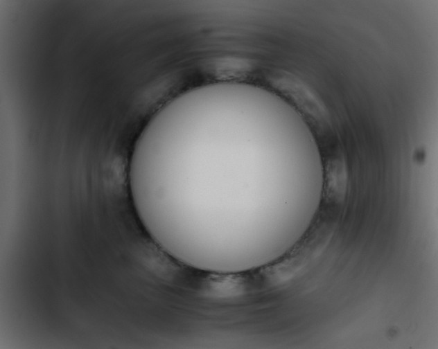 X0000103940667200809261727