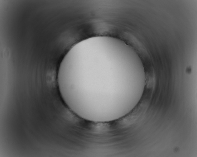 X0000103940670200809261727