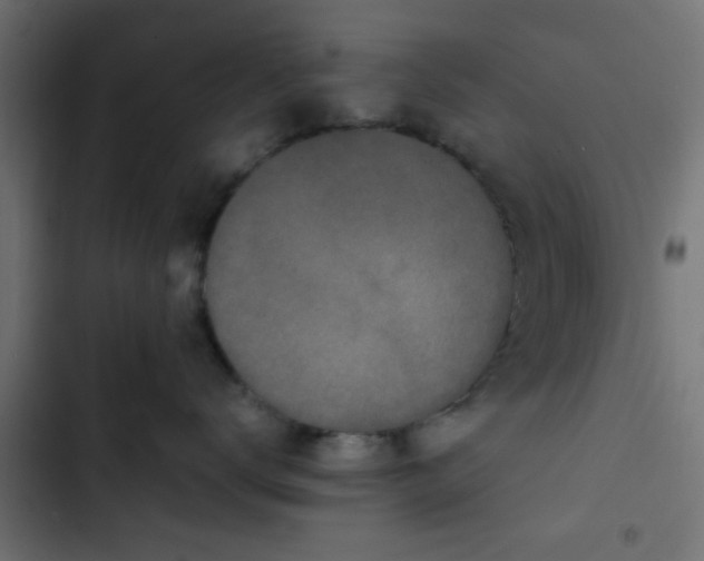 X0000103940672200809261727