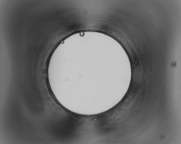 X0000103940673200809261726