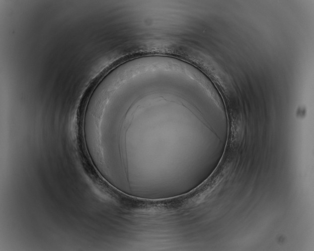 X0000103940674200809261726