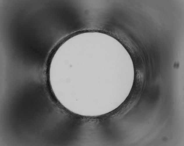 X0000103940676200809261726
