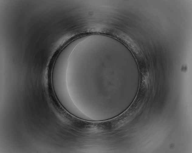 X0000103940678200809261726