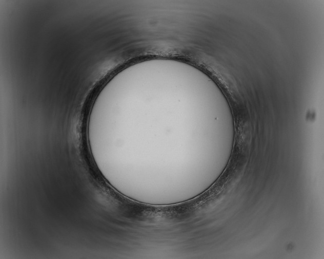 X0000103940679200809261726